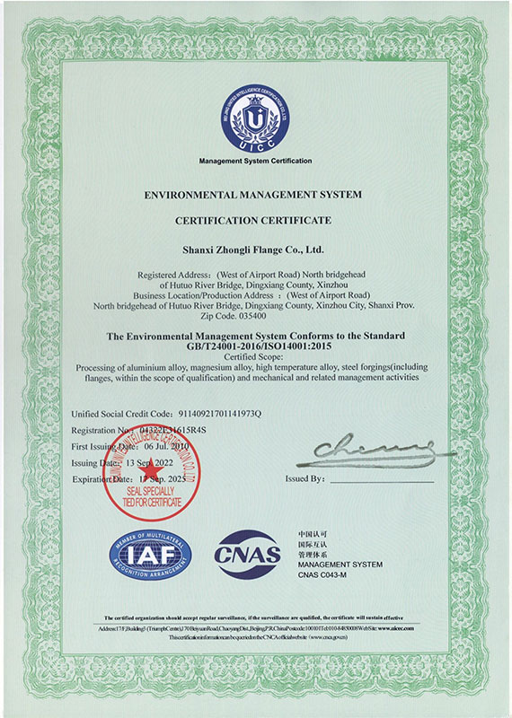 сертификат (13)